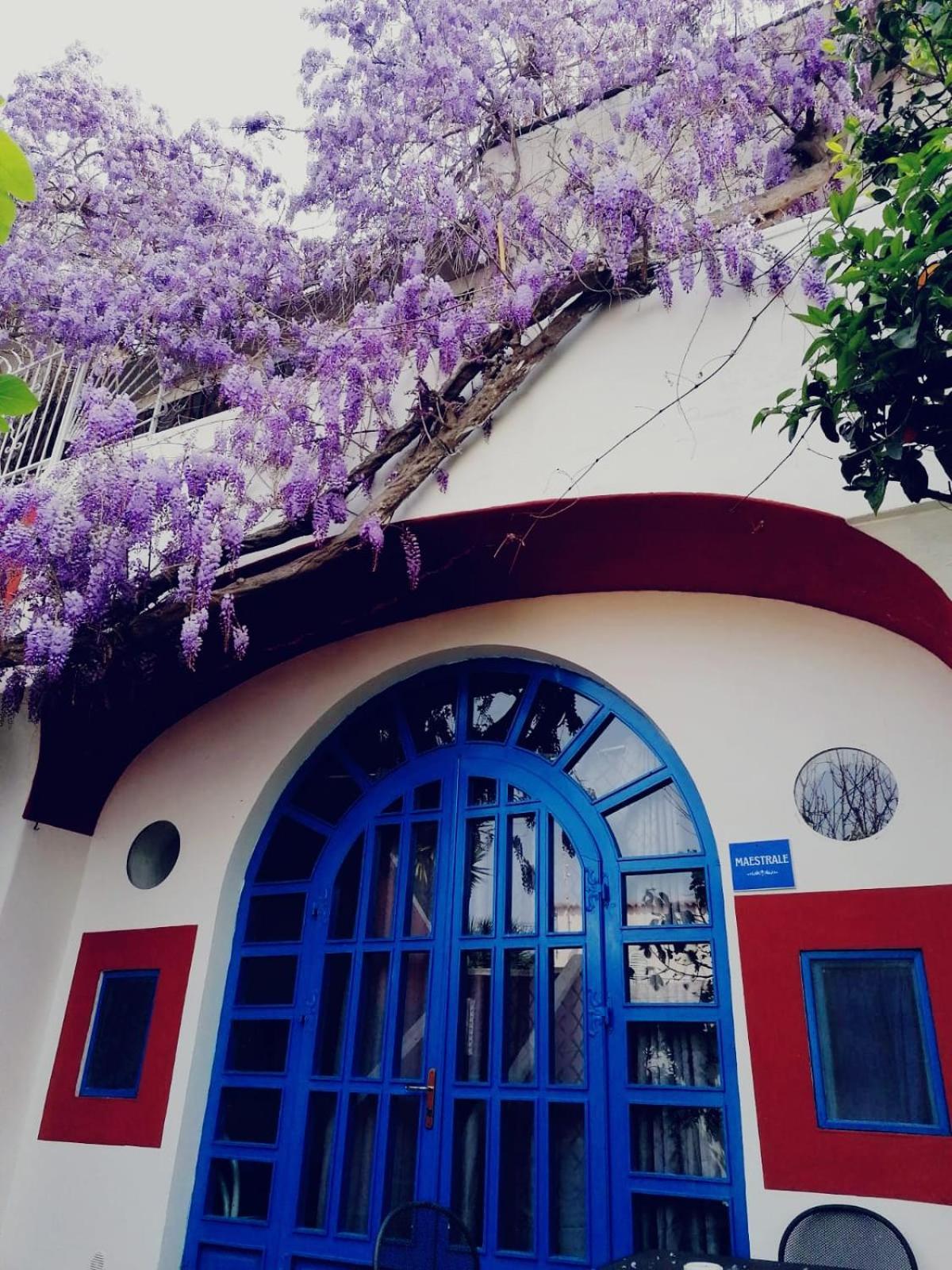 Dimora Coloniale B&B Forio di Ischia Esterno foto